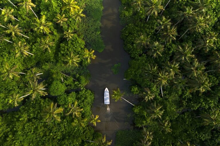 Alleppey: The Venice in Kerala