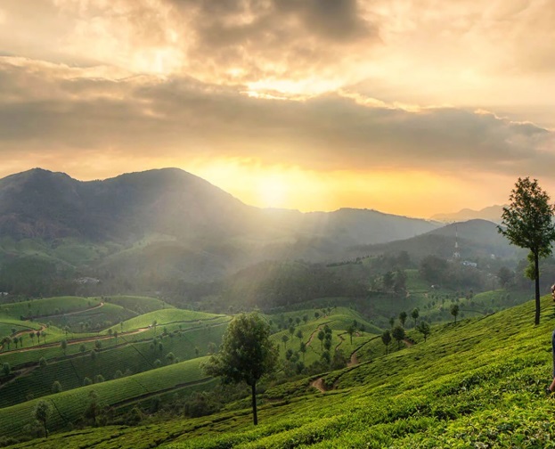 Munnar: The Southern Kashmir of India