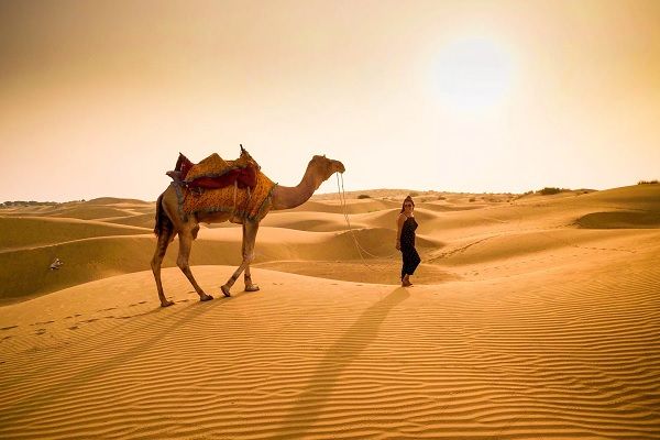 DESERT TOUR OF RAJASTHAN