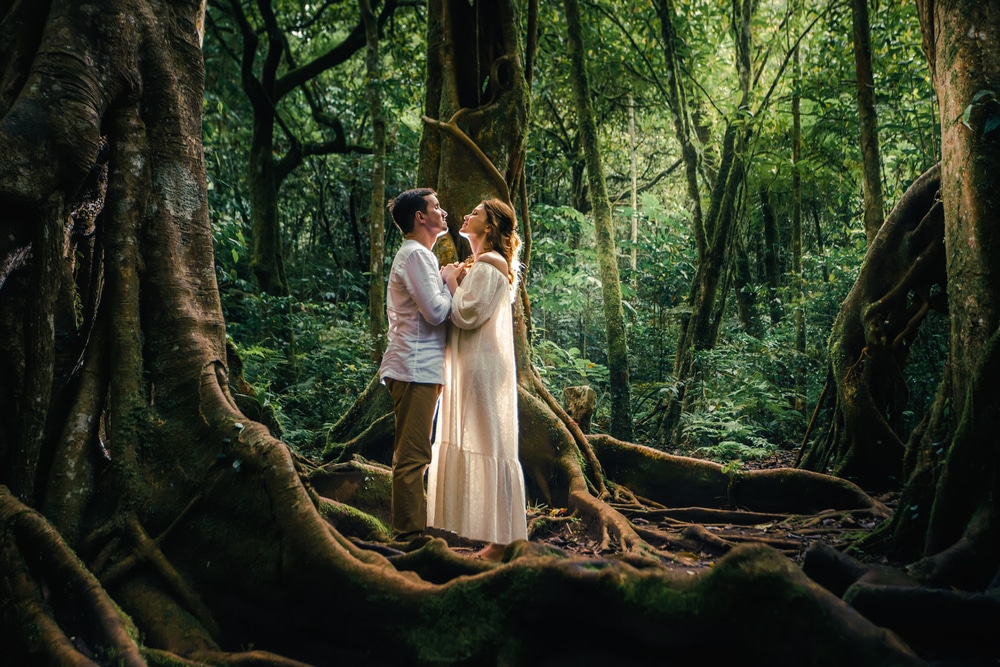 kerala honeymoon tour